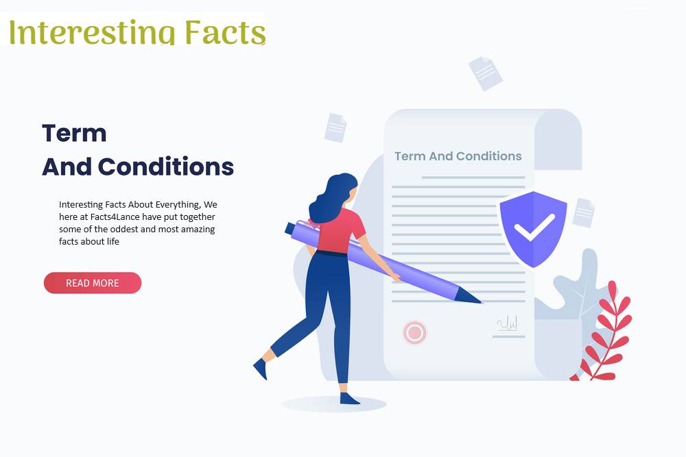 Terms and Conditions Interesting Facts