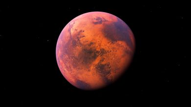 From Canyons to Moons: 10 Interesting Facts About Mars