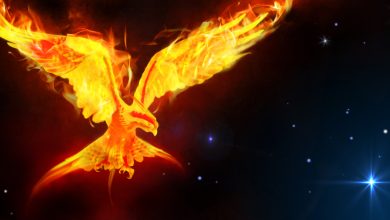 The Legend Lives On: Exploring 10 interesting Facts About the Phoenix Bird