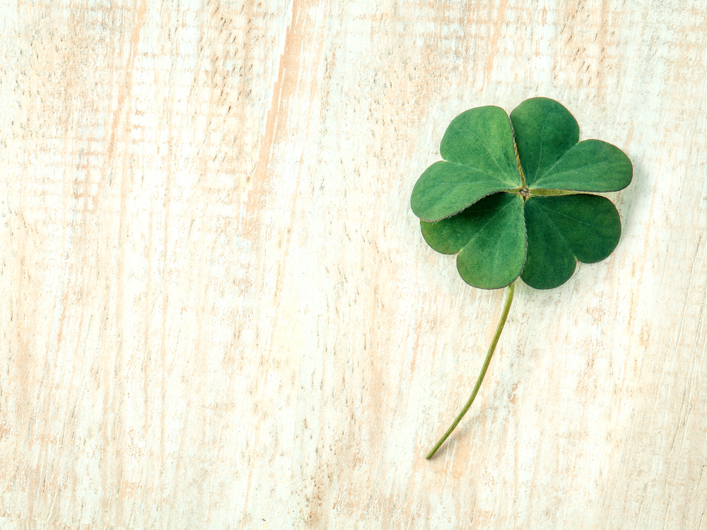 Exploring the Myth and History: 10 Facts About St. Patrick